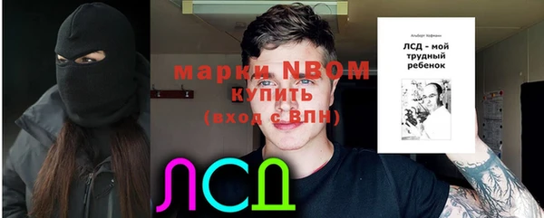 гидра Пересвет