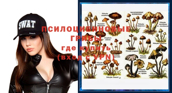 гидра Пересвет