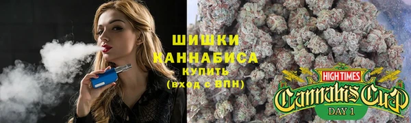 гидра Пересвет