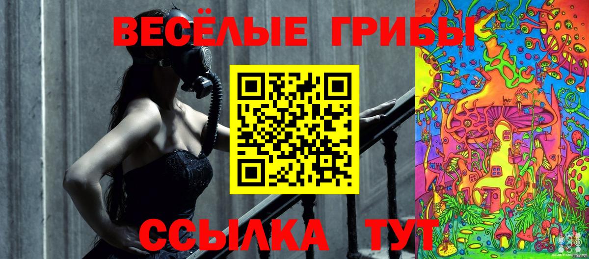 как найти   Вход с VPN  Галлюциногенные грибы Psilocybe  Ахтубинск  Галлюциногенные грибы GOLDEN TEACHER 